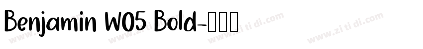 Benjamin W05 Bold字体转换
